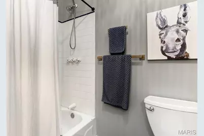 2853 S 18th Street, Saint Louis, MO 63118 - Photo 18
