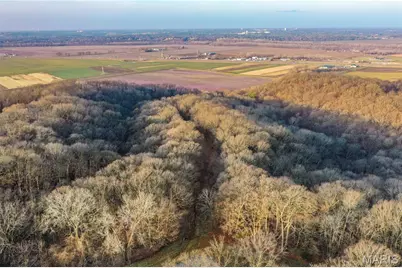 12178 Dogwood Drive, Holts Summit, MO 65043 - Photo 10