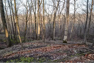 12178 Dogwood Drive, Holts Summit, MO 65043 - Photo 26