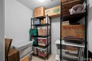 125 E Clinton Pl, Kirkwood, MO 63122 - Photo 32