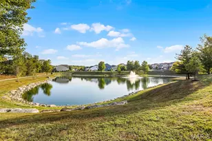 541 Wilmer Hollow Ln, Wentzville, MO 63385 - Photo 38