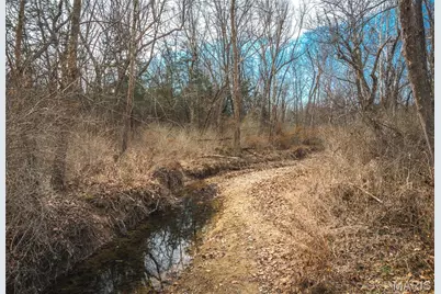 000 Lakeview Drive, Leslie, MO 63056 - Photo 22