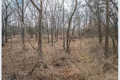 000 Lakeview Drive, Leslie, MO 63056 - Photo 24