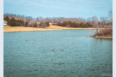 000 Lakeview Drive, Leslie, MO 63056 - Photo 16