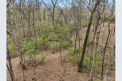 2245 Meadow Forest Drive, Pacific, MO 63069 - Photo 44