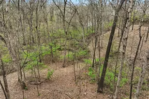 2245 Meadow Forest Dr, Pacific, MO 63069 - Photo 44