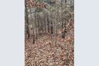 8850 State Highway Dd, Grovespring, MO 65713 - Photo 26