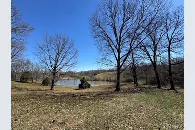 13 Pcr 351, Perryville, MO 63775 - Photo 84