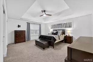 2721 January Ave, Saint Louis, MO 63139 - Photo 30