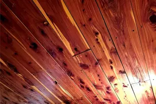 24120 Hwy 107, Stoutsville, MO 65283 - Photo 10