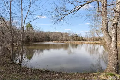 1733 Schluersburg Road, Augusta, MO 63332 - Photo 32