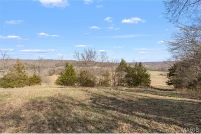 1733 Schluersburg Road, Augusta, MO 63332 - Photo 22