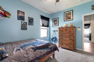 144 Wilmer Valley Dr, Wentzville, MO 63385 - Photo 10