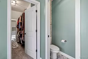 144 Wilmer Valley Dr, Wentzville, MO 63385 - Photo 34