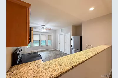 1510 Villa Drive, De Soto, MO 63020 - Photo 8