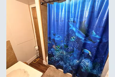 306 Field Street, Park Hills, MO 63601 - Photo 22