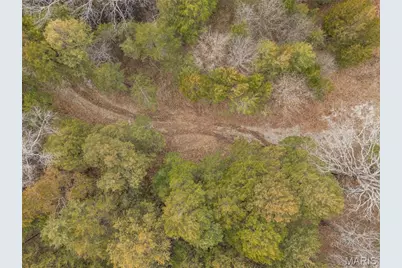 6111 Tall Cedars Road, Hillsboro, MO 63050 - Photo 34