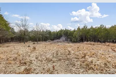 6111 Tall Cedars Road, Hillsboro, MO 63050 - Photo 4