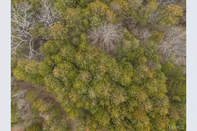 6111 Tall Cedars Road, Hillsboro, MO 63050 - Photo 30