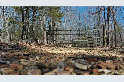 Tbd Highway K, Salem, MO 65560 - Photo 4