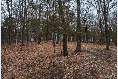 8184 Highway 185, Leslie, MO 63056 - Photo 6