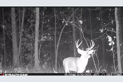 1219 Godt Road, Wright City, MO 63390 - Photo 6