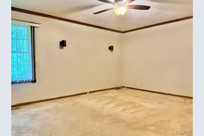 78 Lake Apollo Drive, Hannibal, MO 63401 - Photo 30
