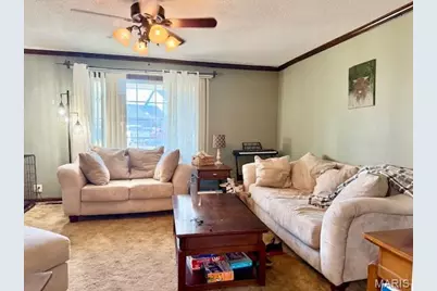 78 Lake Apollo Drive, Hannibal, MO 63401 - Photo 8