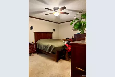 78 Lake Apollo Drive, Hannibal, MO 63401 - Photo 22