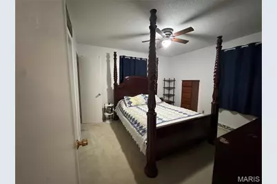 54 County Road 560, Poplar Bluff, MO 63901 - Photo 10