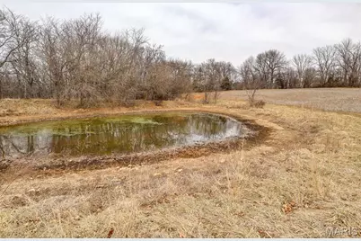 000 Pike 279, Bowling Green, MO 63334 - Photo 42