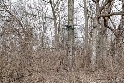 000 Pike 279, Bowling Green, MO 63334 - Photo 38