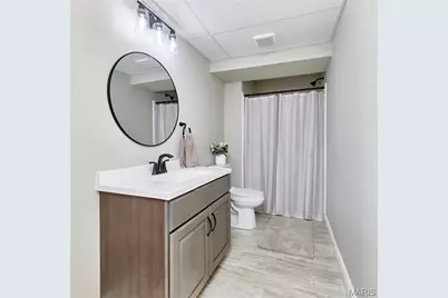 142 Crabapple School Court, Moscow Mills, MO 63362 - Photo 62