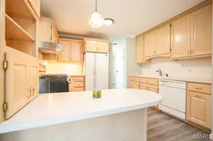 4839 Hursley Dr, Saint Louis, MO 63128 - Photo 10