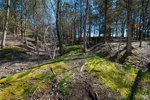 2104 Grand Army Rd, Labadie, MO 63055 - Photo 60