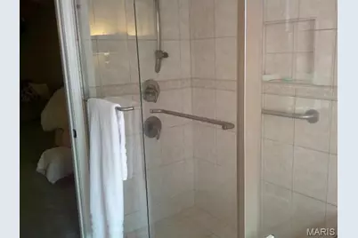 3878 Marine Avenue, Saint Louis, MO 63118 - Photo 30