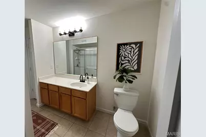 11202 Spring Creek Lane, O'Fallon, MO 63368 - Photo 10