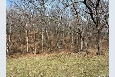 0 Deer Run Road, Elsberry, MO 63343 - Photo 10