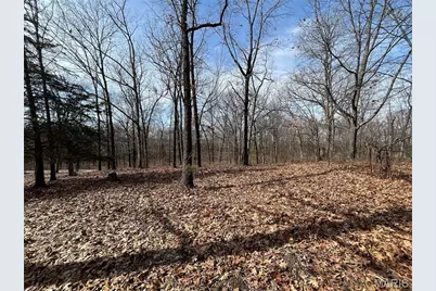 0 Deer Run Road, Elsberry, MO 63343 - Photo 14