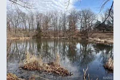 0 Deer Run Road, Elsberry, MO 63343 - Photo 6