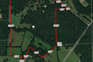 353 County Rd 2400, Salem, MO 65560 - Photo 46