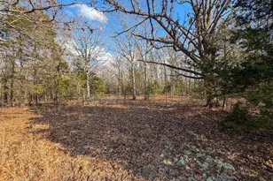 353 County Rd 2400, Salem, MO 65560 - Photo 30