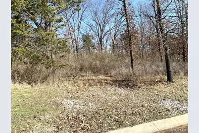 0 Heard Court, Union, MO 63084 - Photo 12