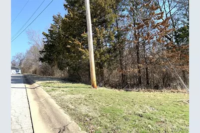 0 Heard Court, Union, MO 63084 - Photo 4