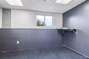 4161 Lakeview Dr, Hillsboro, MO 63050 - Photo 58