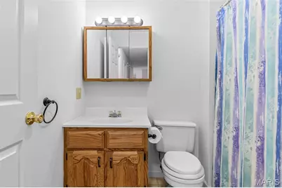 1515 Saint Francois Road, Bonne Terre, MO 63628 - Photo 46