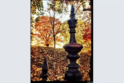 2346 Albion Place, Saint Louis, MO 63104 - Photo 48