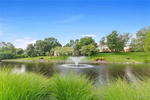 9169 N Swan Cir, Brentwood, MO 63144 - Photo 50