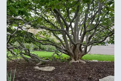 17 Praise Court, Fenton, MO 63026 - Photo 38