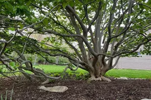 17 Praise Ct, Fenton, MO 63026 - Photo 38